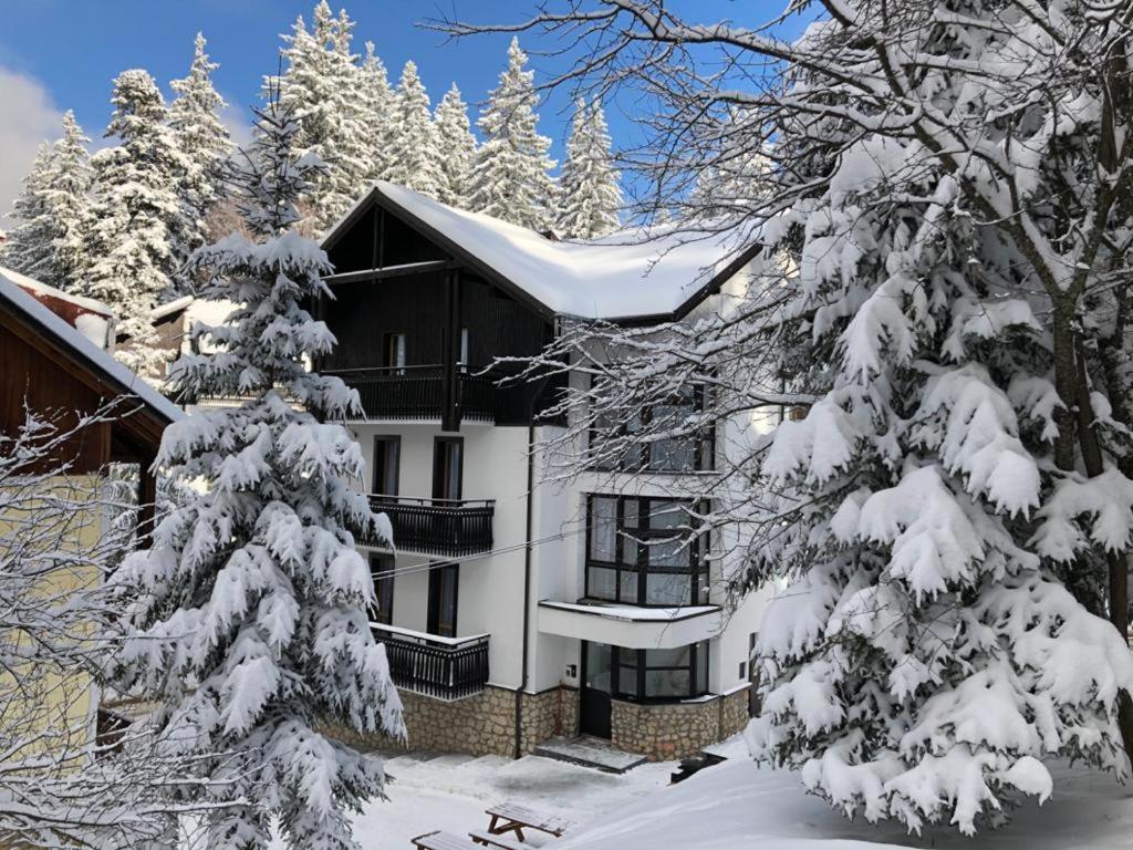 Montana Residence Poiana Brasov Luaran gambar